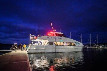 Sea to Sky Dark Sky Cruise Experience in Tasmania