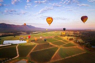 Hunter Valley Day Tour