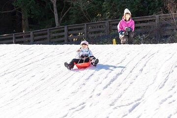 Play with Snow Crab Buffet Lunch and Strawberry Picking Bus Tour