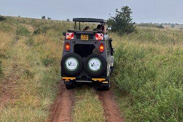 3-Day Masai Mara National Reserve