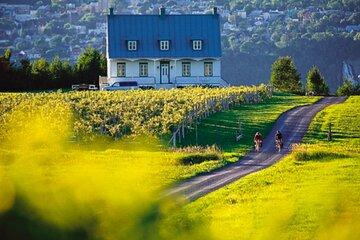 Quebec Half Day Tour by Car with Certified Guide