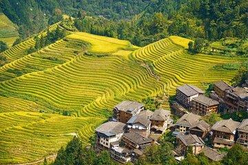 Guilin Longji Rice Terrace Day with Oil Tea Demo and Zhuang Lunch
