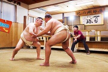 Tokyo Sumo Experience with Live Show & Audience Challenge