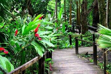 Half Day Tour in Nadi
