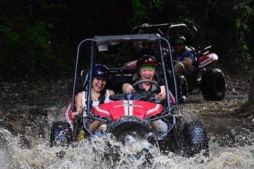 Roatan ATV Buggy Experience Sloths History Tour and Beachside