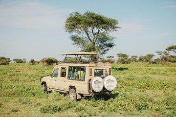 Private 4-Day Wildlife Encounter in Tanzania