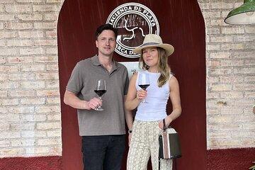 Half day Tour Visit 2 Wineries & Unlimited Wine. Private Transfer