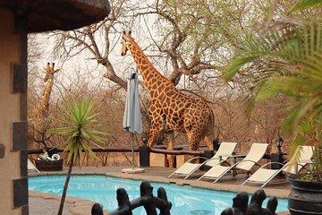 3 Day African Rock Lodge Safari in Kruger National Park