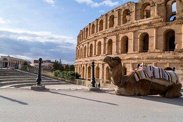 AYO VIP TOUR: Discover El Jem – Tunisia’s Ancient Arena