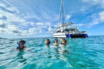 Turtle Snorkel Adventure from Waikiki, Oahu