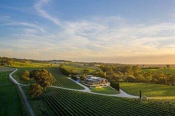 Phoenix Vortex to Vineyard Shared Tour