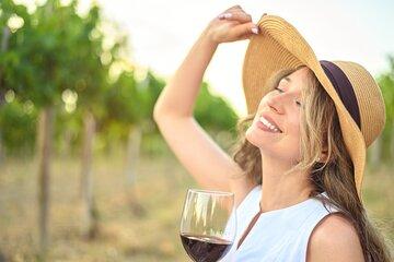 Taormina and Etna Wine Tasting Tour with Lunch and Winery Visit