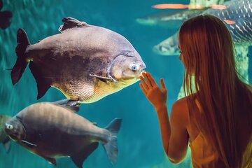 Barcelona Aquarium Skip-the-Line Tickets