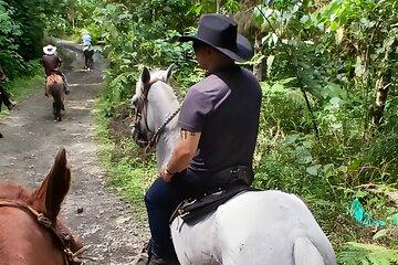 Horse Riding Near Medellin with Food and Transportation