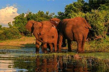 12 Days South Africa Safari from Johannesburg to Cape Town