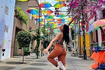 Tour Culture Puerto Plata Amber Chocolate and Colored Umbrella