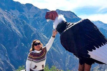 Colca DE Day Tour