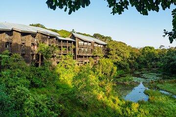 Overnight Safari to Shimba Hills From Mombasa