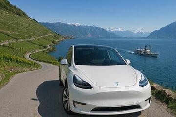 A day on Lake Geneva with a private guide in an electric car