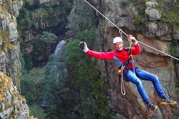 2 Day Cape Escape: Whale Coast, Penguins & Zipline Adventure