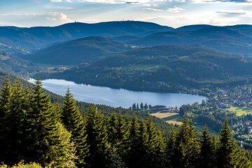From Basel Day Trip Culture and Pleasure in the Black Forest