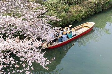 Yanagawa Private River Cruise with Local Boatman