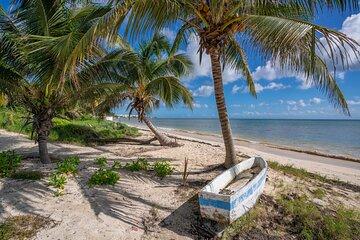 Puerto Morelos and Cenote with Snorkeling Tour from Cancun