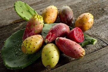 Mexico's Tropical Fruit Guided Tasting in Mexico City