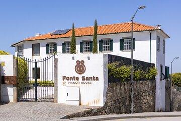 Culinary and Lunch Classes in Porto