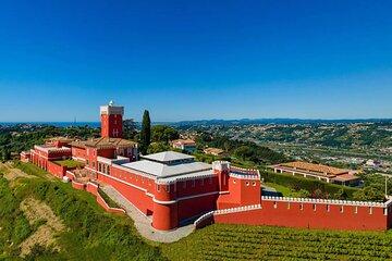 Chateau de Cremat and Chateau Sainte Roseline Wine Tour