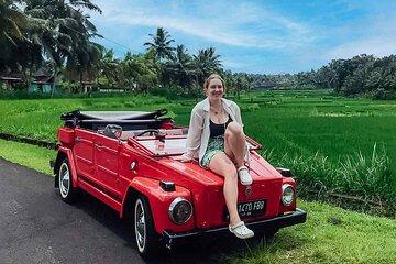 Bali Rafting with Bali Classic Car Tour Ubud
