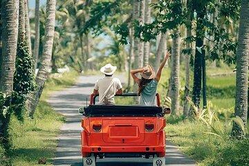Ubud Tour With VW Car