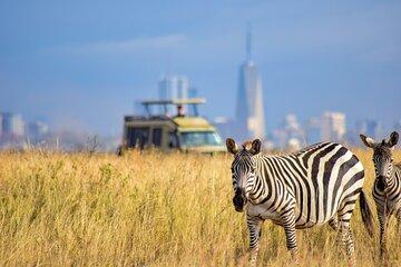 4WD Nairobi Sightseeing Shared