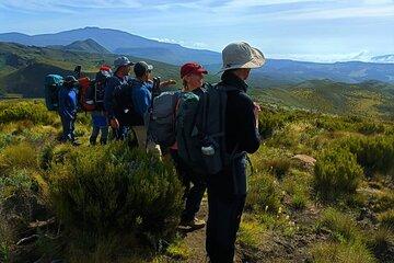 Mt. Kenya Expedition Private 4-Day Multi-day Tours