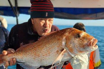 Full Day Fishing Trip on Auckland Waitemata Harbour