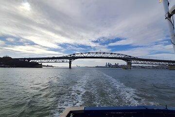 Scenic Harbour Cruise in Auckland