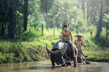 6 Days 5 Night Ha Long Bay, Ninh Binh and Sapa Tour