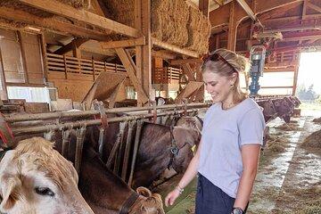 Lucerne Farms and Cheese Tasting Tour