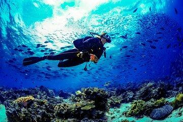 Certified Scuba Diving Training in Butterfly Valley