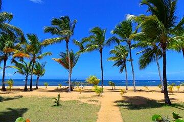Unforgettable Week in the Dominican Republic
