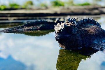 Isabela Active Tour with Kayak and Snorkeling 4 Days