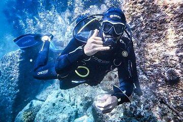 Espíritu Santo Private Scuba Tour