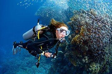 Mellieha Introductory Diving Session in the Open Sea
