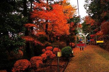 West Tokyo Mountain Tour with Ramen and Tattoo-OK Hot Spring