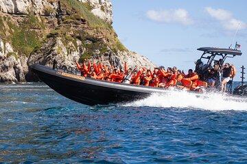 Boat Tour: Caves & Cliffs Tour on the Wild North Coast