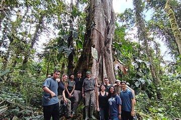 Ecological Experience in the Quito Cloud Forest