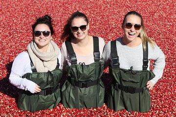 Cranberry Plunge and Hardy Lake Hike Adventure