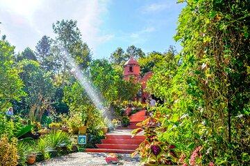 Botanical Garden Puerto Vallarta: The Private Tour Experience