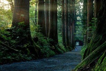 Togakushi Shrine Private Tour with English Local Guide