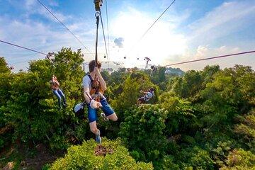 MegaZip Adventure Ride Jungle Beach & Sea Experience |Singapore